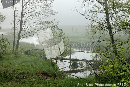 Image of Morning on the River