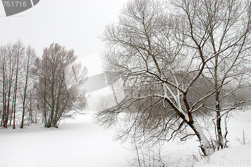Image of Drawing of winter