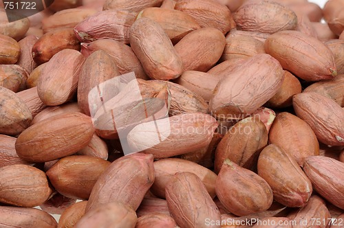 Image of Peanuts.