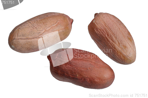 Image of Peanuts.