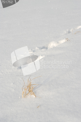 Image of Footprints in the snow 