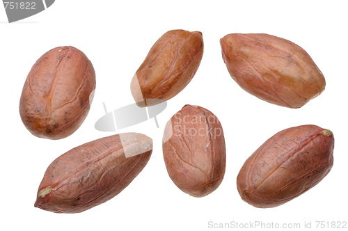 Image of Peanuts.