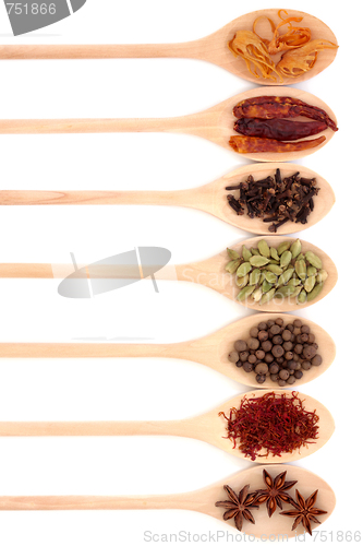 Image of Spice Collection