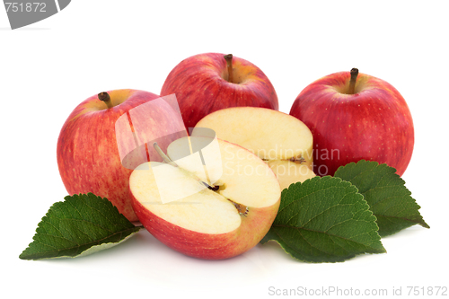 Image of Gala Apples