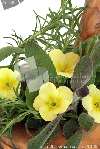 Image of  Primrose Flowers and Herbs