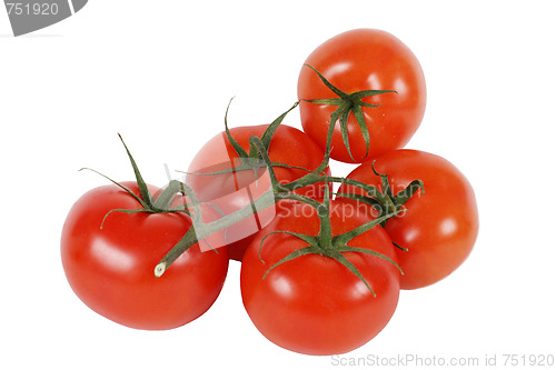 Image of Five tomatos with twig