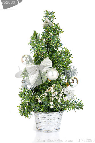 Image of Christmas firtree