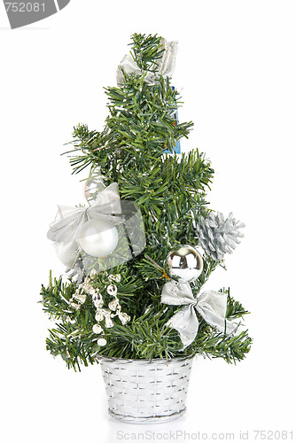 Image of Christmas firtree 