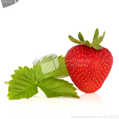 Image of Strawberry Fruit