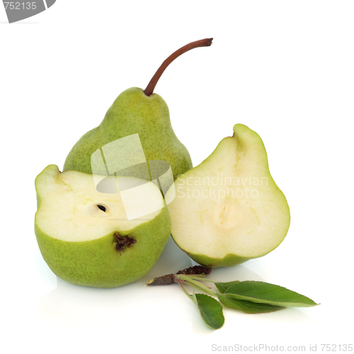 Image of Pear Fruit