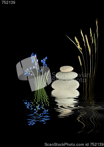 Image of Zen Garden Beauty