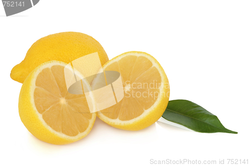 Image of Lemon Fruit