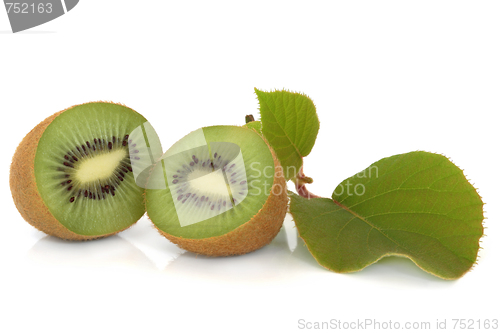 Image of Kiwi Fruit