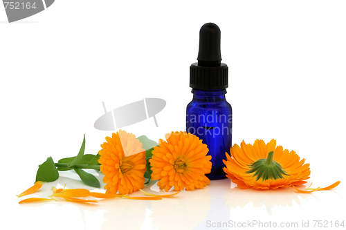 Image of Marigold Flower Essence