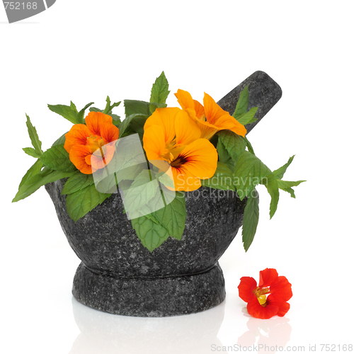 Image of Nasturtian Flower and Mint Herb  
