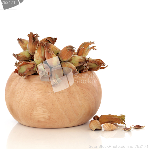 Image of Cob Nuts
