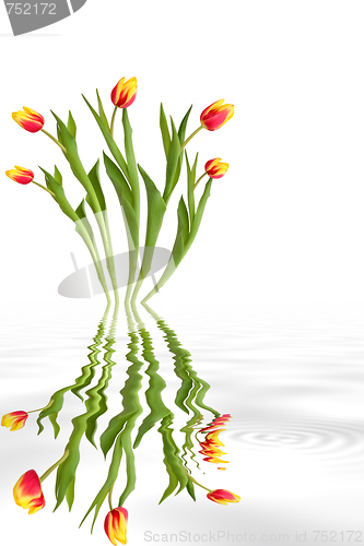 Image of Tulip Flower Abstract