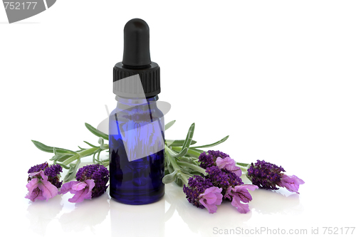 Image of Lavender Herb Flower Essence