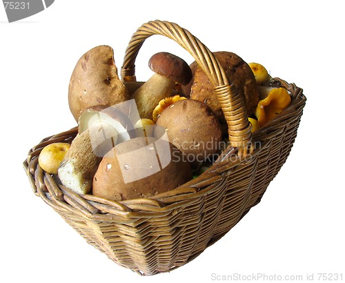 Image of Basket full of mushrooms