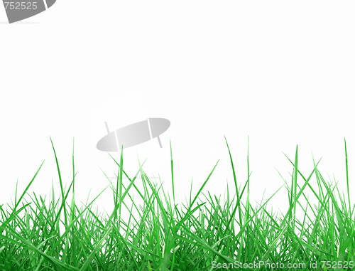 Image of Meadow