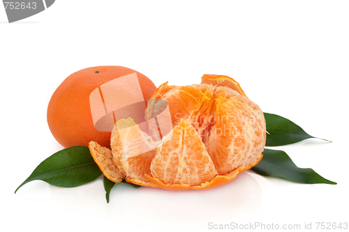 Image of Tangerine Fruit