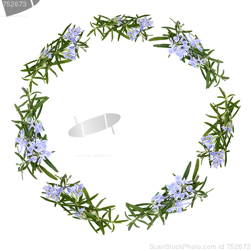 Image of Rosemary Herb Flower Garland