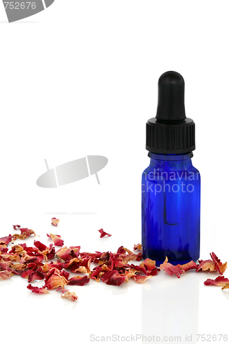 Image of Rose Essence Oil