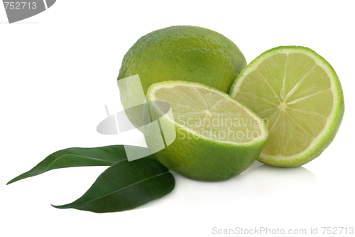 Image of Lime Fruit