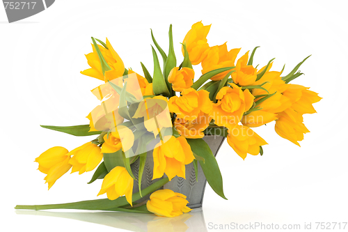 Image of Yellow Tulip Flowers