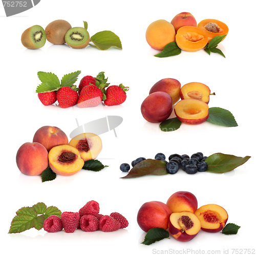 Image of Soft Fruit Collection