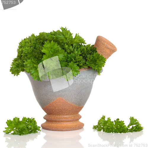 Image of Parsley Herb Leaves