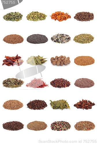 Image of Spice and Herb Collection
