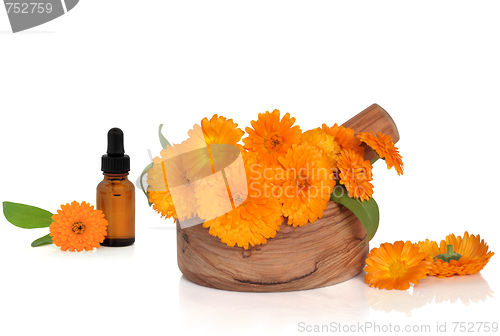 Image of Marigold Flowers and Essence