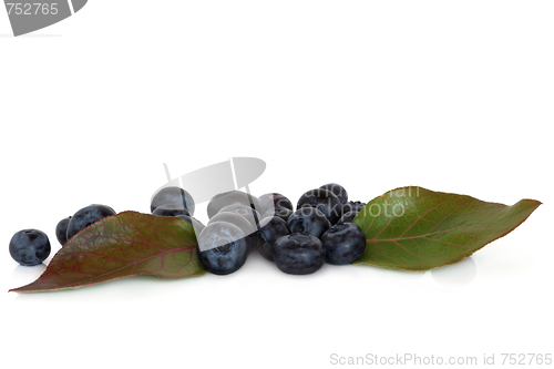 Image of Blueberry Fruit