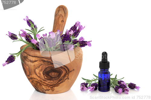 Image of Lavender Flowers and Essence