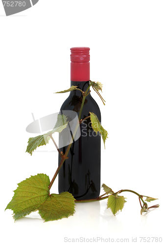 Image of Red Wine and Grape Leaves