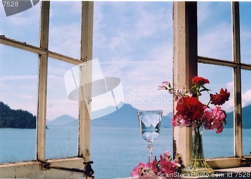 Image of Window with red flowers
