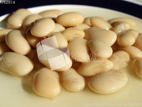 Image of Beans