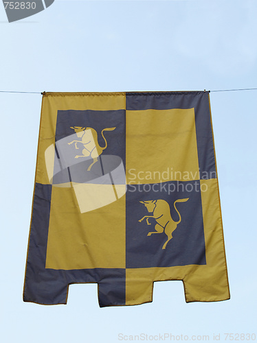 Image of Turin flag