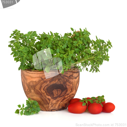 Image of Basil Herb and Tomatoes