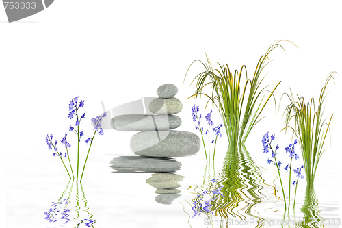 Image of Zen Garden  