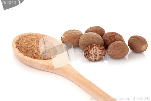 Image of Nutmeg Spice