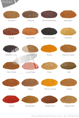 Image of Spice Collection with Titles