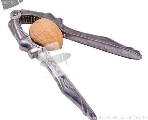Image of instrument for prick nut