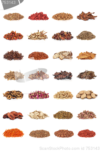 Image of Chinese Medicinal Herbs  