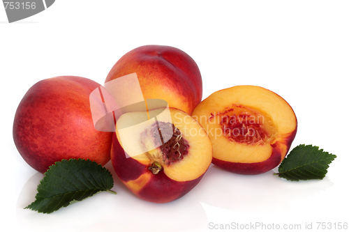 Image of Nectarine Fruit