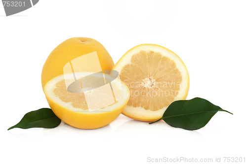 Image of Grapefruit