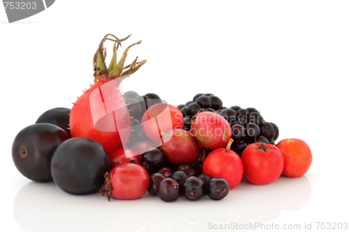 Image of Autumn Berry Fruit Selection