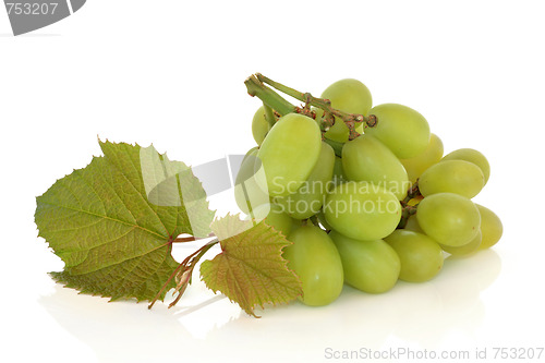 Image of Grapes with Leaves