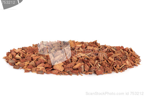 Image of Oak Bark Herbal Medicine